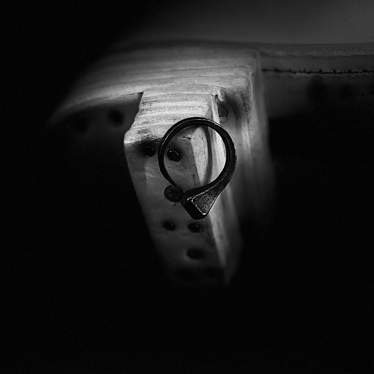 Oxidized Silver Horse Nail Ring by Carol Christian Poell