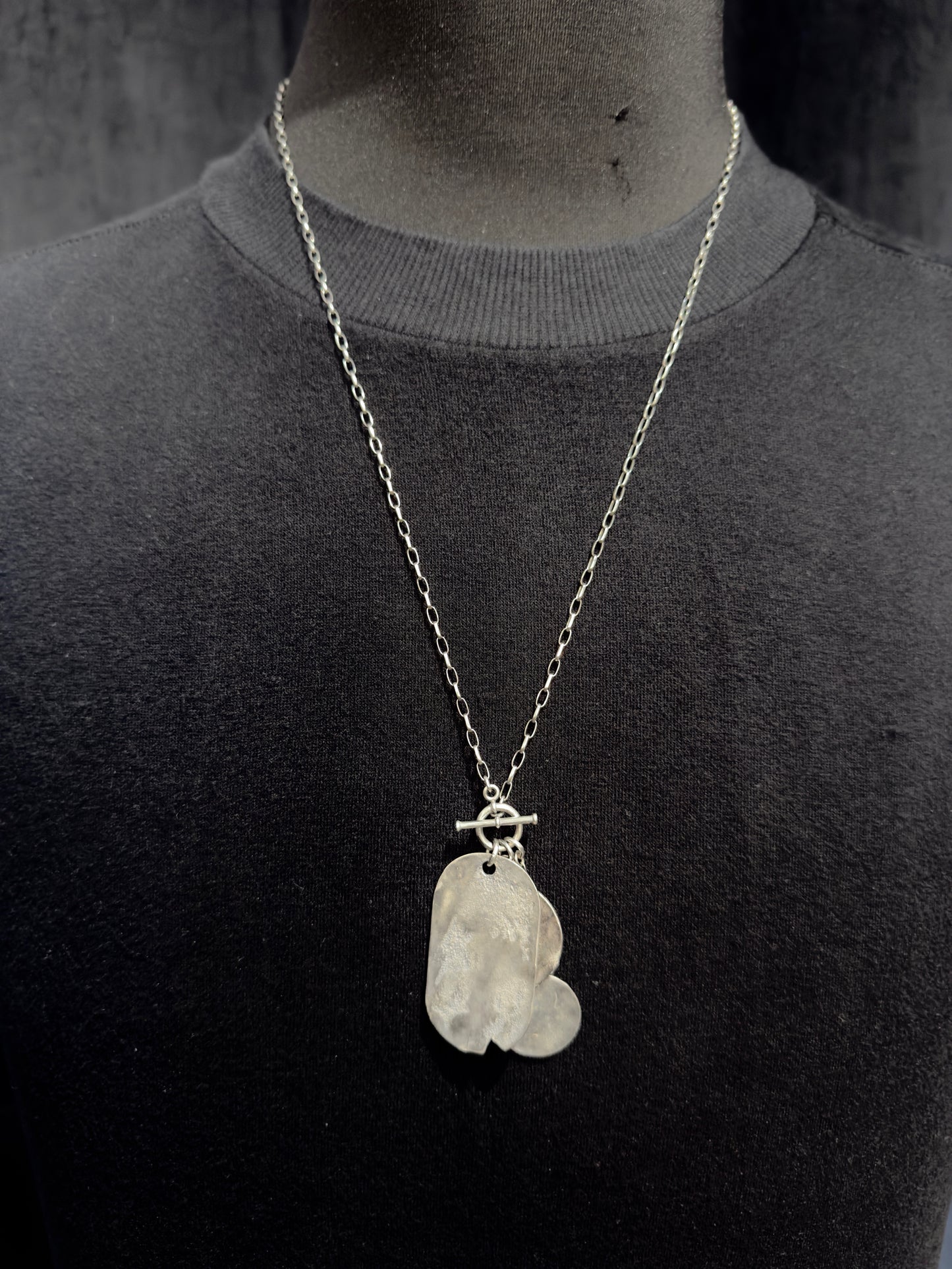 Silver Coins and Dog Tag Pendant