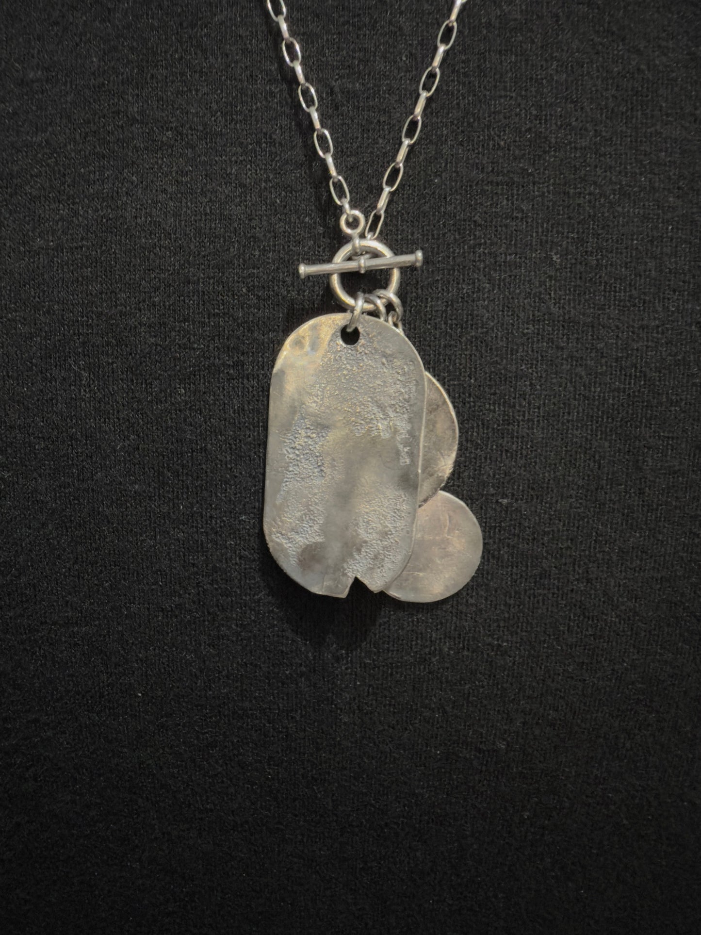 Silver Coins and Dog Tag Pendant